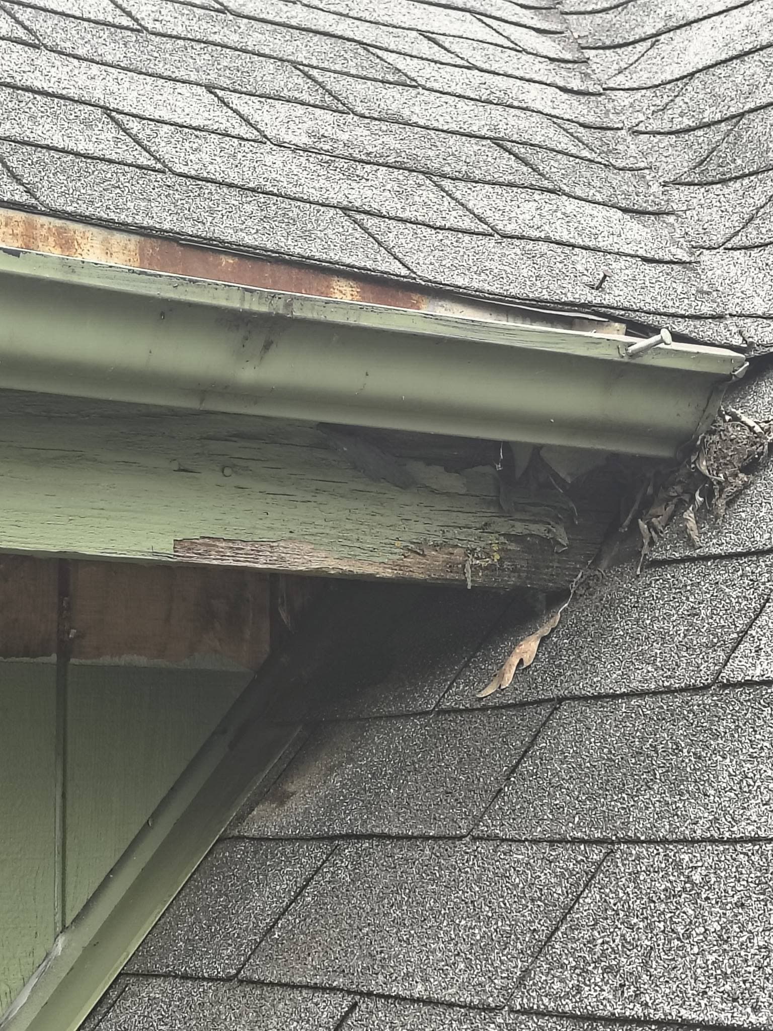 A failed gutter corner at the shingle edge with debris jammed in the gap and rusted flashing